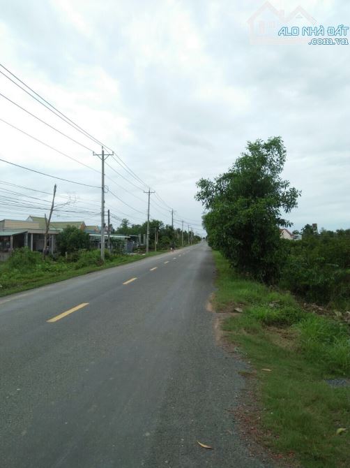 [LONG AN] bán 1,5 ha đất – X.thạnh lợi – H.bến lức - giá 13 tỷ. - 6