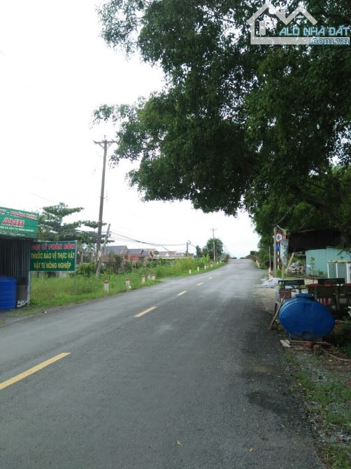 [LONG AN] bán 1,5 ha đất – X.thạnh lợi – H.bến lức - giá 13 tỷ. - 8
