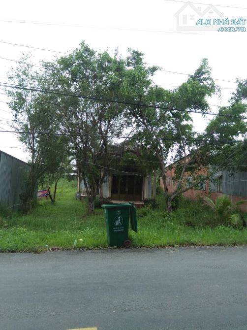 [LONG AN] bán 1,5 ha đất – X.thạnh lợi – H.bến lức - giá 13 tỷ. - 9