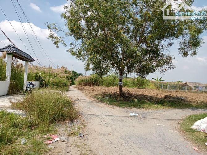 Bán Nhanh Đất 578m2 có 300m2 Đất Ở,Phù Hợp Làm Biệt Thự, Nhà Vườn, Nhà Trọ..