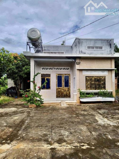 ✨ Nhà Vườn Xinh Xắn 12x70m (200m2 ONT) sát Sông Sêrêpôk, đường Bê tông QH: rộng 7M - 600Tr