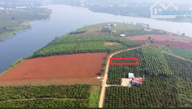 Đất view hồ Phúc Thọ - Lâm Đồng sẵn 300m thổ cư