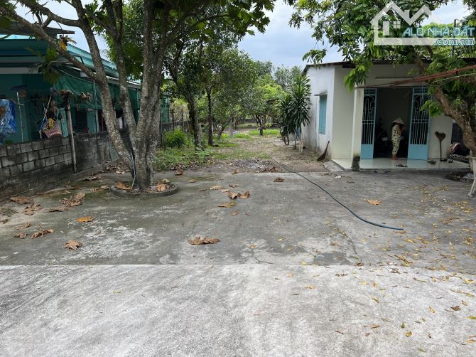 Bán đất tặng nhà 2000m2 mặt tiền đường Nguyễn Thị Nê có 900 thổ cư giá 12 tỷ - 2