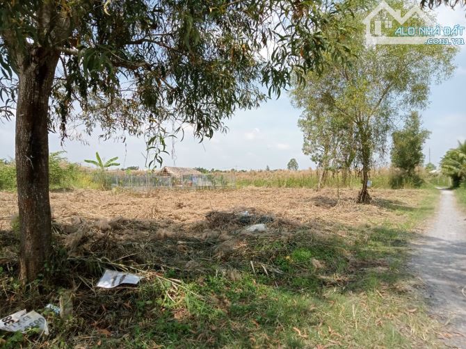 Bán Nhanh Đất 578m2 có 300m2 Đất Ở,Phù Hợp Làm Biệt Thự, Nhà Vườn, Nhà Trọ.. - 2