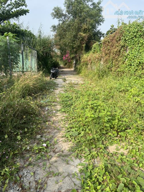 554m2 hẻm xe hơi kv QH chuyển đổi hiện hữu cạnh lê văn lương 2 - 3