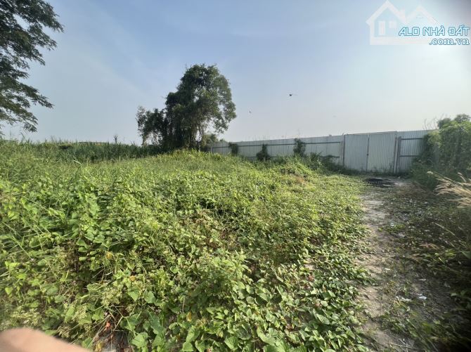 554m2 hẻm xe hơi kv QH chuyển đổi hiện hữu cạnh lê văn lương 2 - 4