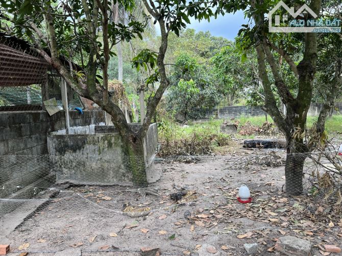 Bán đất tặng nhà 2000m2 mặt tiền đường Nguyễn Thị Nê có 900 thổ cư giá 12 tỷ - 7