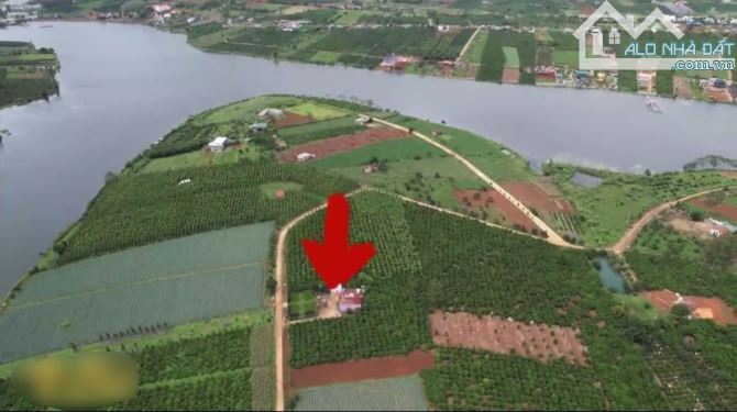 Đất view hồ Phúc Thọ - Lâm Đồng sẵn 300m thổ cư - 9