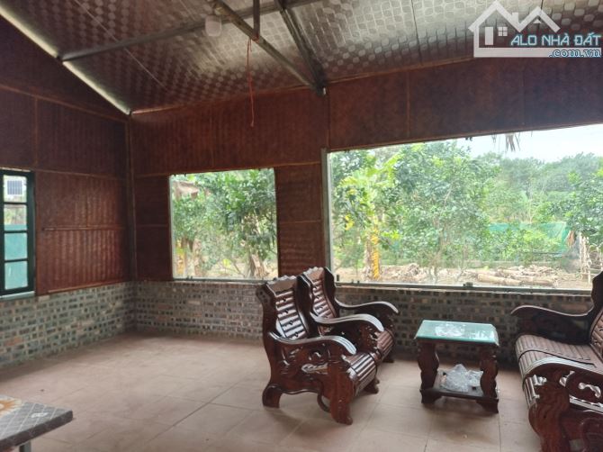 Cần nhượng 7 sào đất bãi giữa sông Hồng -phường Tứ Liên-Tây Hồ-Hà Nội(có thể bán 1/2) - 1