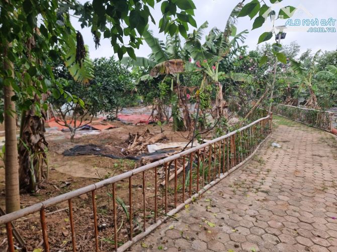 Cần nhượng 7 sào đất bãi giữa sông Hồng -phường Tứ Liên-Tây Hồ-Hà Nội(có thể bán 1/2) - 2