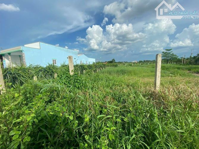 Đất MT nhựa Thâm Nhiên - Cầu Vuông đường 10m- 5.3x30m2- Giá: 1ty150trieu - 2