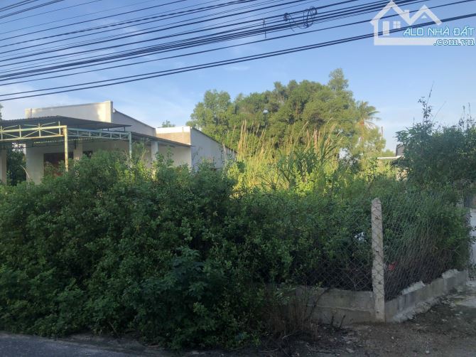 Bán 357m2 100m2 thổ - 12 tỷ mặt tiền đường Thủy Triều - Cam Hải Đông - Cam Lâm - Khánh Hòa - 4