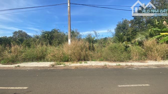 Bán lô đất mặt tiền đường nhựa xã Hưng Lộc, Thống Nhất, Đồng Nai 730triệu