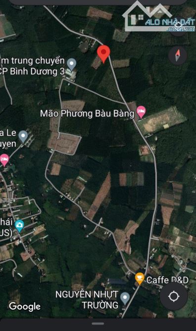 BÁN ĐẤT MT DH611, LAI HƯNG, BÀU BÀNG, DT:59x170, SHR, GIÁ 13,5 TỶ - 3