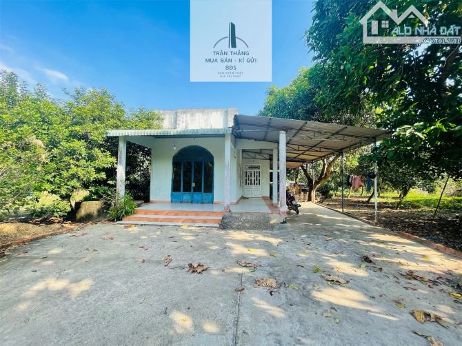 Đất Mẫu có Thổ cư -  nhà - Vườn Cây Ăn Trái thích hợp nghĩ dưỡng