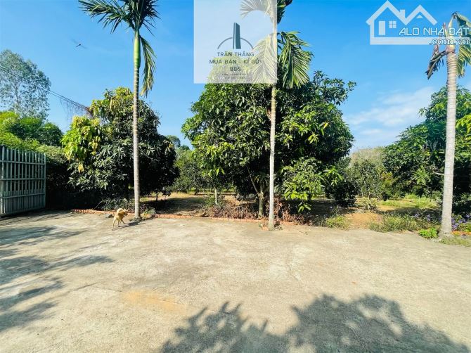 Đất Mẫu có Thổ cư -  nhà - Vườn Cây Ăn Trái thích hợp nghĩ dưỡng - 10