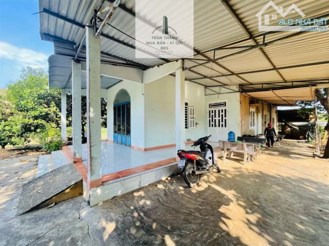 Đất Mẫu có Thổ cư -  nhà - Vườn Cây Ăn Trái thích hợp nghĩ dưỡng - 1
