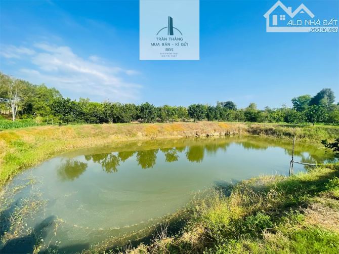 Đất Mẫu có Thổ cư -  nhà - Vườn Cây Ăn Trái thích hợp nghĩ dưỡng - 12