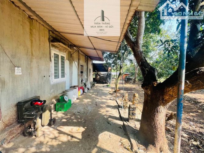 Đất Mẫu có Thổ cư -  nhà - Vườn Cây Ăn Trái thích hợp nghĩ dưỡng - 2