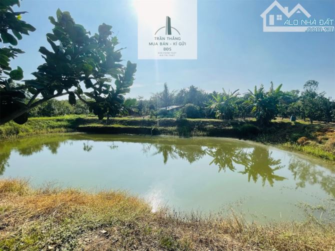 Đất Mẫu có Thổ cư -  nhà - Vườn Cây Ăn Trái thích hợp nghĩ dưỡng - 4