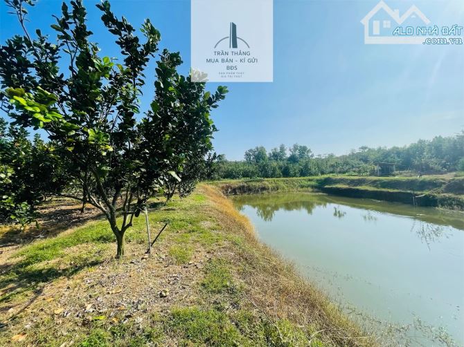 Đất Mẫu có Thổ cư -  nhà - Vườn Cây Ăn Trái thích hợp nghĩ dưỡng - 7
