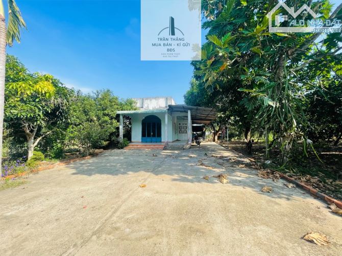 Đất Mẫu có Thổ cư -  nhà - Vườn Cây Ăn Trái thích hợp nghĩ dưỡng - 9