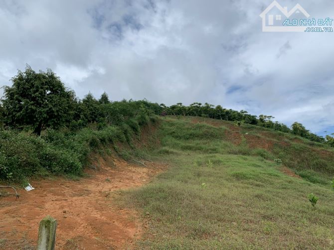 11x48m Bảo Lộc cách ql20 800m chỉ 1ty150 - 2