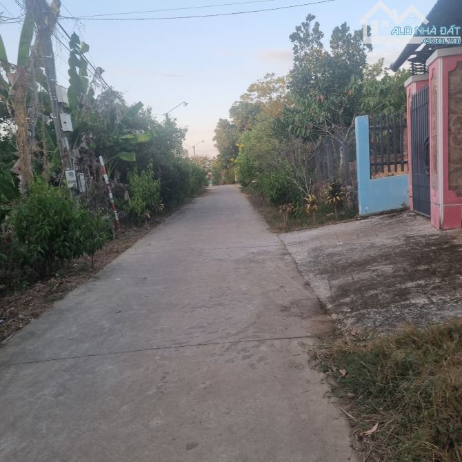 BÁN ĐẤT 1 SẸC QUỐC LỘ 20 LÔ BIỆT THỰ VƯỜN 1121M2 QUI HOẠCH TOÀN BỘ ĐẤT CHỈ 950 TRIỆU - 3