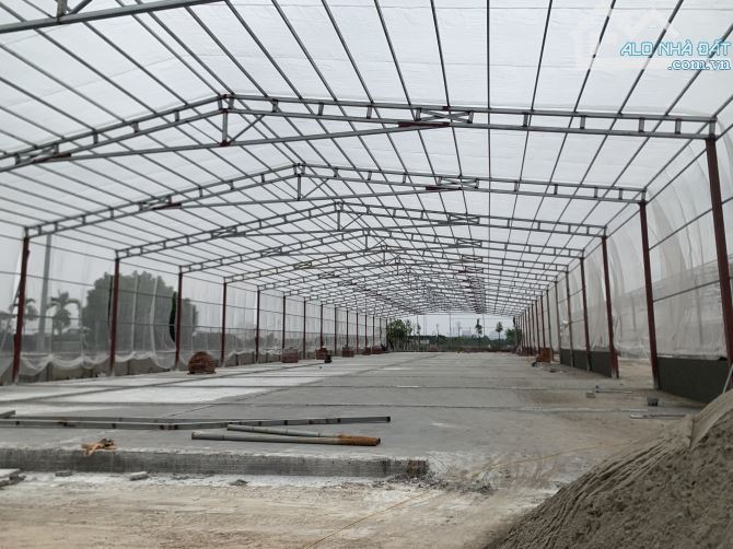 Cho thuê 10.000m2 kho xưởng xây mới, An khánh, hợp đồng dài hạn, giá 55k/m2 - 4