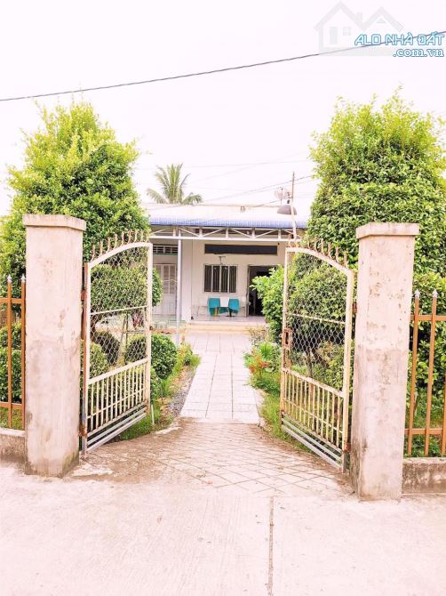 Cần bán gấp căn nhà vườn 310m2 1/Đ.Quốc Lộ 22 thị xã Trảng Bàng Tây Ninh 560tr