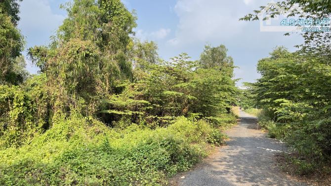 65 tỷ - BÁN NỀN ĐẤT 3295m2 hẽm 6m đường Ngô chí Quốc , p. Bình chiểu , tp. Thủ Đức - 4