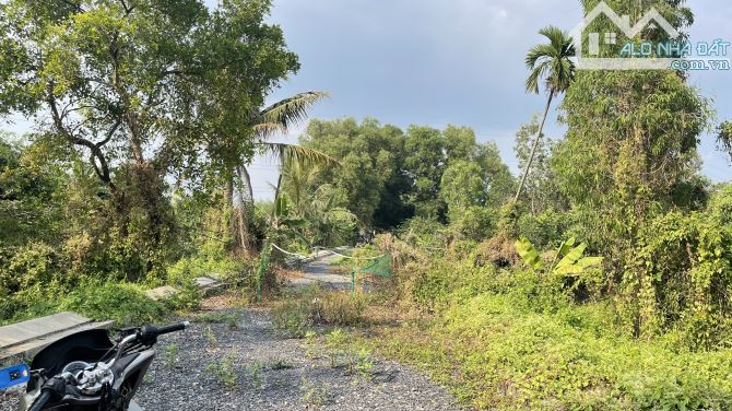 65 tỷ - BÁN NỀN ĐẤT 3295m2 hẽm 6m đường Ngô chí Quốc , p. Bình chiểu , tp. Thủ Đức - 5