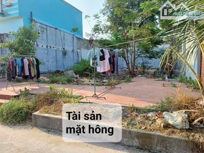 Bán đất thổ cư 2 mặt tiền đường Trần Thị Bốc, Thới Tam Thôn, Hóc Môn, HCM - 2
