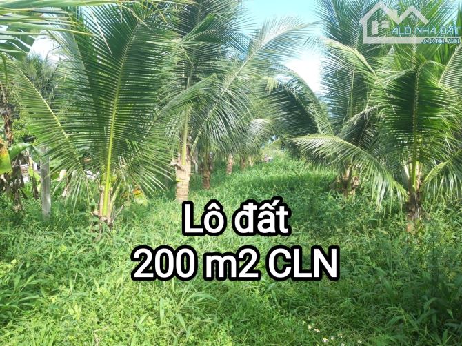 Bán đất trung tâm Diên Khánh, cách đường Hà Huy Tập 250m, cách đường Trần Phú(bờ kè sông) - 2