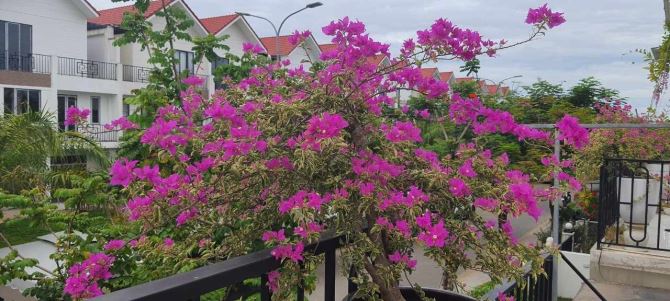 NHÀ ROYAL PARK 2 TẦNG FULL NỘI THẤT, ĐÃ CÓ SỔ - 5,6 TỶ + THƯƠNG LƯỢNG - 3