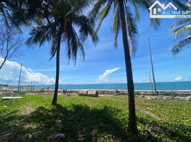 Cần bán lô đất mặt tiền đường Trần Lê, xã Tiến Thành, Phan Thiết Bình Thuận - 3