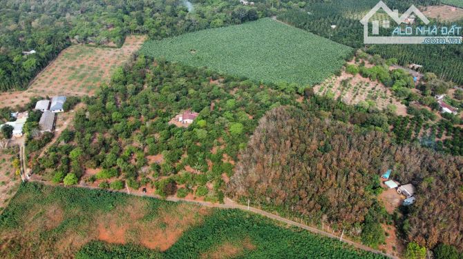 Cần bán 1 mẫu đất thổ cư mặt tiền nhựa đến 145m, giá chỉ 450 triệu/ sào - 1