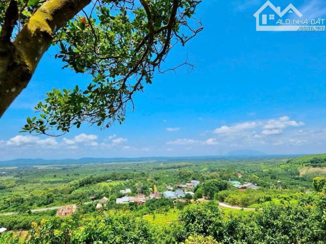 BÁN GẤP 2.600M2 NHÀ VƯỜN GẦN HỒ TRỊ AN, ĐỒNG NAI GIÁ 800 TRIỆU. GẦN QUỐC LỘ, ĐƯỜNG Ô TÔ - 5