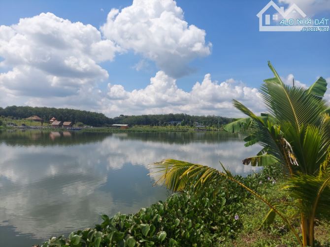 Đất TX Chơn Thành 25x42 (1000m2) sổ sẵn giá chỉ 700Tr gần Sân Golf 36 lỗ Chơn Thành - 3
