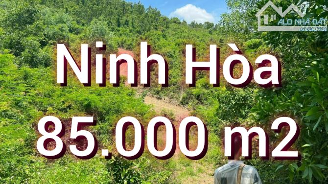 Bán đất rẫy 8,5 héc ta tổ dân phố Phú Thọ 3, phường Ninh Diêm, Ninh Hòa.  - Cách đường Quố