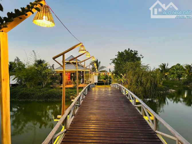 FARMSTAY VIEW LÚA - CÁCH BIỂN HỒ TRÀM CHỈ 5 PHÚT 🌈Tổng diện tích: 16.671 m2 - 10