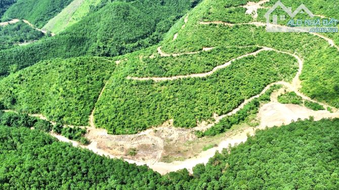 💕😍 Hot 15 Ha Rừng Sản Xuất  Bám Đường Bê Tông 300m, View Suối, Có Ao Trong Đất😍💕 - 1