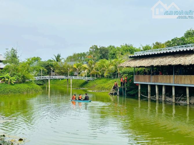 FARMSTAY VIEW LÚA - CÁCH BIỂN HỒ TRÀM CHỈ 5 PHÚT 🌈Tổng diện tích: 16.671 m2 - 15