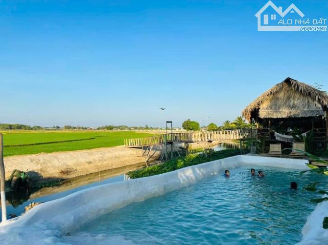 FARMSTAY VIEW LÚA - CÁCH BIỂN HỒ TRÀM CHỈ 5 PHÚT 🌈Tổng diện tích: 16.671 m2 - 19