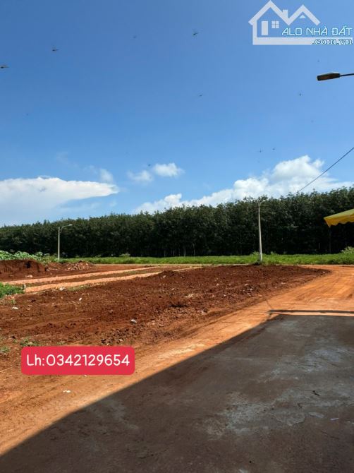 Chính chủ gửi bán vài lô đất ở Khu dân cư Phú Lộc Krông Năng Đắk Lắk GIÁ RẺ - 2