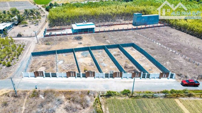 BÁN NÊN ĐẤT 1000m2 VIEW BIỂN LỘC AN-ĐẤT ĐỎ  ĐƯỜNG NHỰA CÓ THỔ CƯ-SỔ SẴN CÔNG CHỨNG NGAY - 2