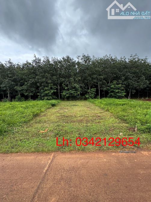 Chính chủ gửi bán vài lô đất ở Khu dân cư Phú Lộc Krông Năng Đắk Lắk GIÁ RẺ - 4
