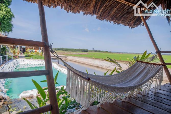 FARMSTAY VIEW LÚA - CÁCH BIỂN HỒ TRÀM CHỈ 5 PHÚT 🌈Tổng diện tích: 16.671 m2 - 4