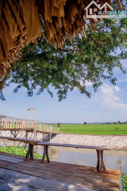 FARMSTAY VIEW LÚA - CÁCH BIỂN HỒ TRÀM CHỈ 5 PHÚT 🌈Tổng diện tích: 16.671 m2 - 6