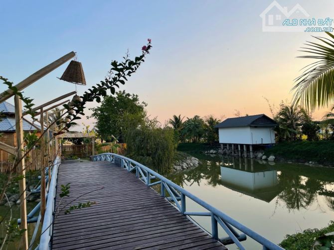 FARMSTAY VIEW LÚA - CÁCH BIỂN HỒ TRÀM CHỈ 5 PHÚT 🌈Tổng diện tích: 16.671 m2 - 9